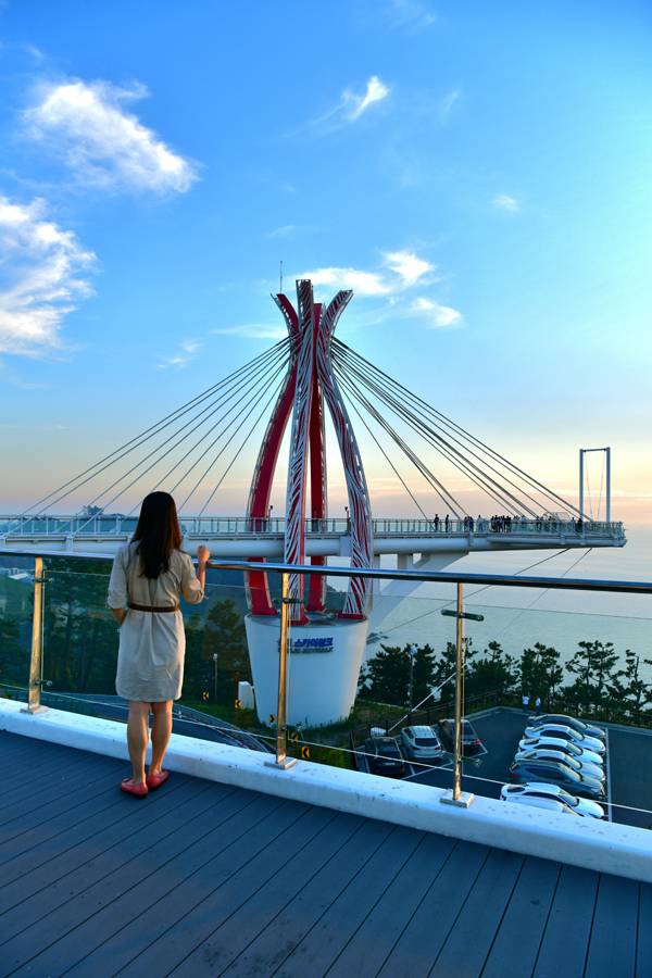 설리스카이워크.