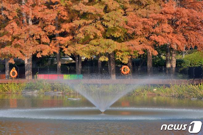 연못에 있는 분수대에서 시원한 물줄기가 뿜어져 나오고 있다. ⓒ News1