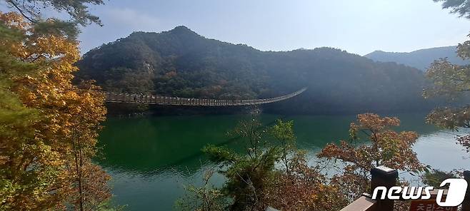 제천 옥순봉 출렁다리가 동절기를 맞아 운영시간을 단축한다.