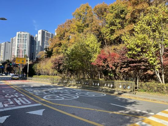 용인 신봉동도서관 건립예정부지 전경