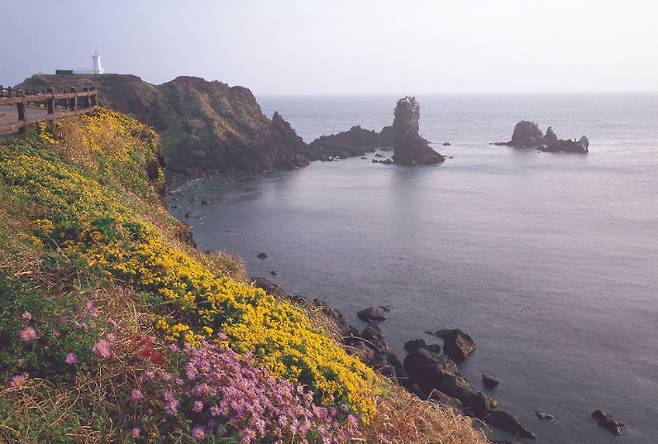 섭지코지. 제주도 제공