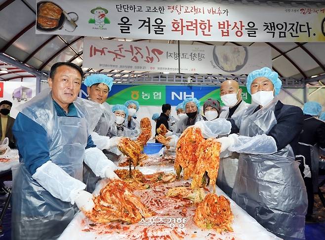 평창 고랭지김장축제 제공