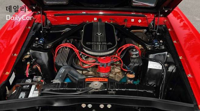 쉘비 코브라 GT500 (Shelby Cobra GT500) (사진 카스쿱)