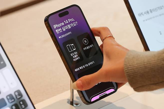 애플의 신형 스마트폰 아이폰14 시리즈의 판매가 전작보다 부진한 것으로 알려지면서 국내 증시의 대표적인 아이폰 수혜주인 LG이노텍과 비에이치의 주가가 부진한 모습을 보이고 있다. 사진은 서울 중구 명동 애플스토어에 전시된 아이폰14의 모습.  [출처 : 연합뉴스]