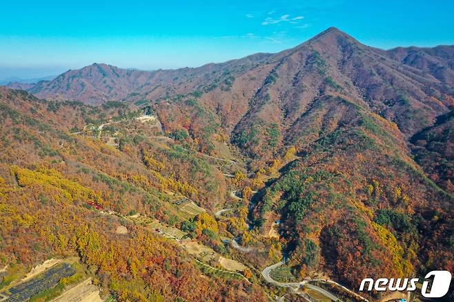 늦가을 정취로 짙게 물든 충북 영동군 상촌면  도마령 모습. (영동군 제공)