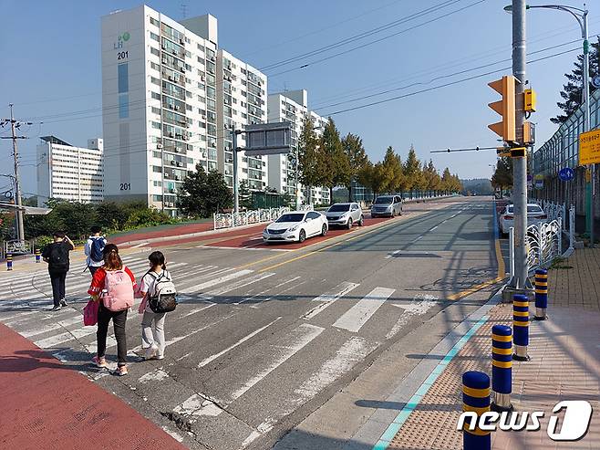 충북 증평군이 학교 주변 어린이 보호구역에 바닥 신호등 등 안전시설을 설치하고 있다.(증평군 제공).2022.11.9/뉴스1