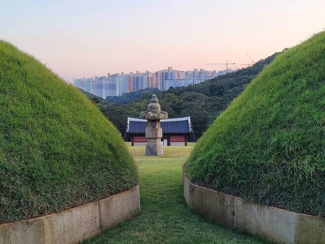 김포 장릉의 원종릉과 인헌왕후릉 봉분 사이에서 남향을 바라본 모습. 멀리 검단신도시 고층 아파트 건물이 빽빽하게 올라온 광경이 보인다. 노형석 기자