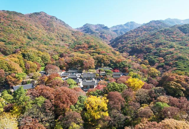 여러 수목이 어우러진 갑사와 계룡산의 가을 풍경.