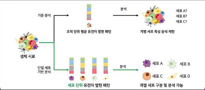 기존 유전자 분석과 단일세포 유전체 멀티오믹스 분석의 차이와 장점. 출처 = 아이노클