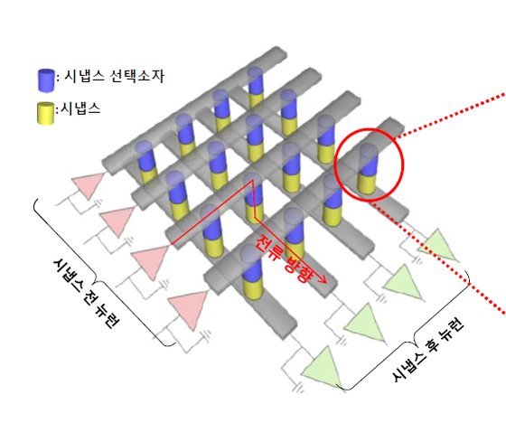 시냅스와 시냅스 선택소자로 구성된 어레이(배열 구조). 그림 박재근 교수 연구팀