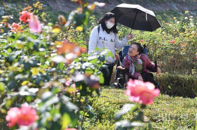 이윤정(오른쪽) 작가가 지난달 31일 서울 중랑구 중랑장미공원에서 이지현 장애인활동지원사와 산책하고 있다.