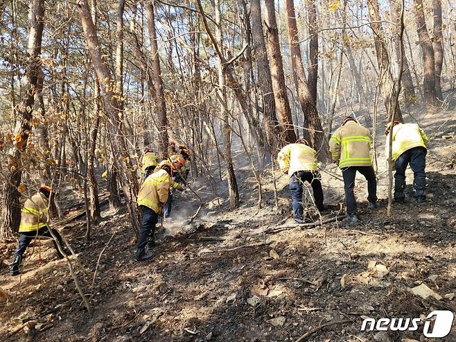 10일 오전 10시42분 경북 청송군 청송읍 대둔산에서 불이 나자 진화대원 등이 잔붏을 정리하고 있다. 큰 불길은 2시간10여분 만에 잡혔다.(경북소방본부 제공)