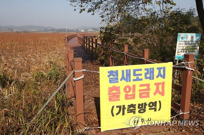 조류인플루엔자 차단 방역, 철새도래지 출입통제 [연합뉴스 자료사진]