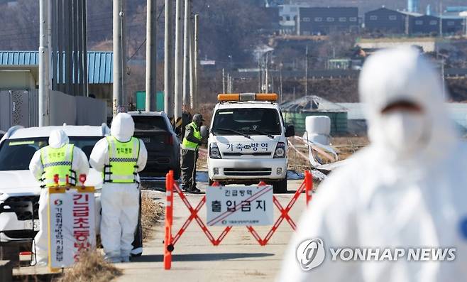 조류인플루엔자 의심 농장 출입 통제 ※ 기사와 직접적인 관계가 없습니다. [연합뉴스 자료 사진]