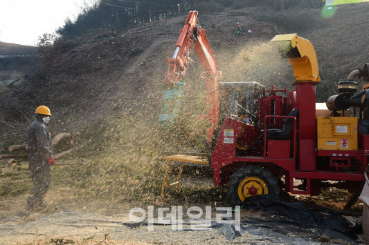 산림당국이 소나무재선충병 피해목에 대해 파쇄 작업을 하고 있다. (사진=산림청 제공)