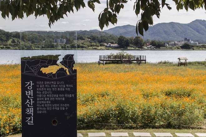물의 정원