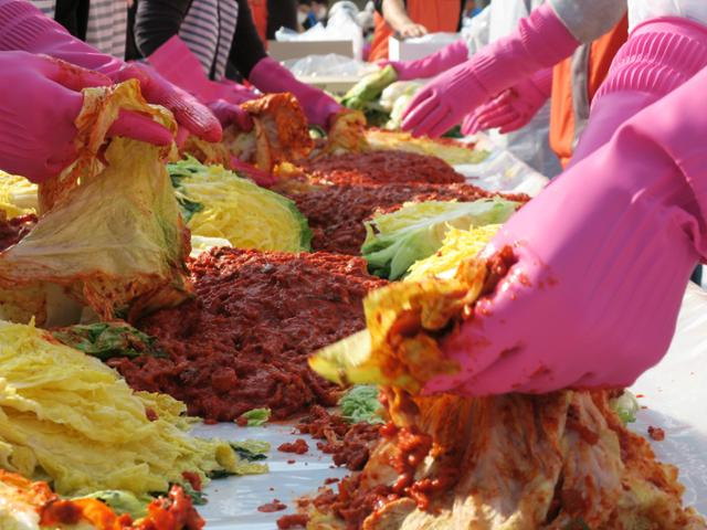 11일 오전 인천 연수구 한마음광장에서 동협의체, 통장자율회, 다문화가족 등 자원봉사자들이 김치를 담그고 있다. 뉴시스