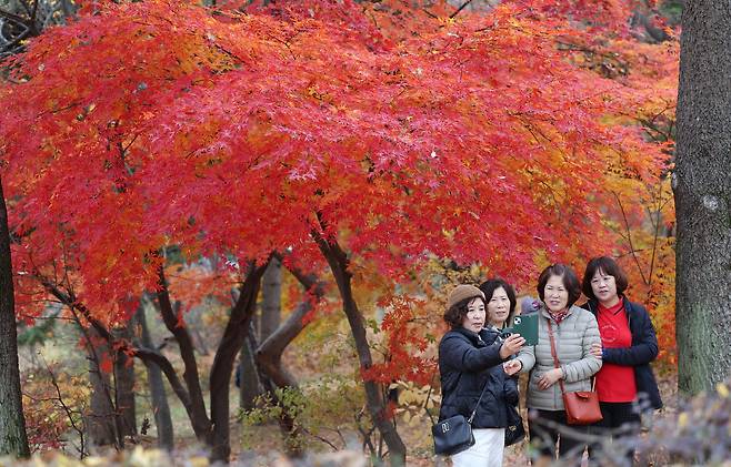 연합뉴스