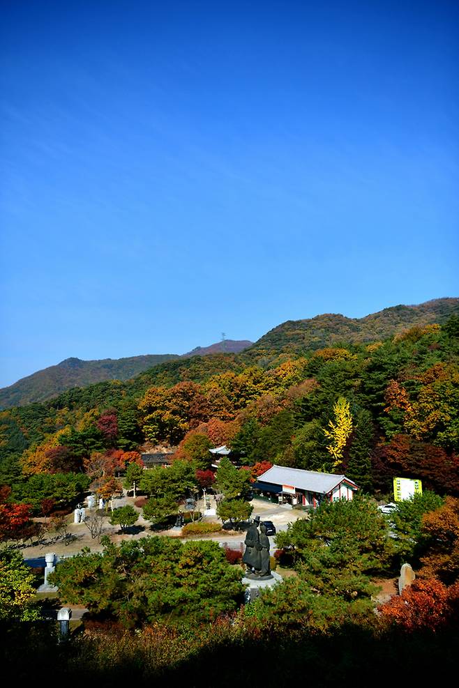 박달재 조각공원 단풍