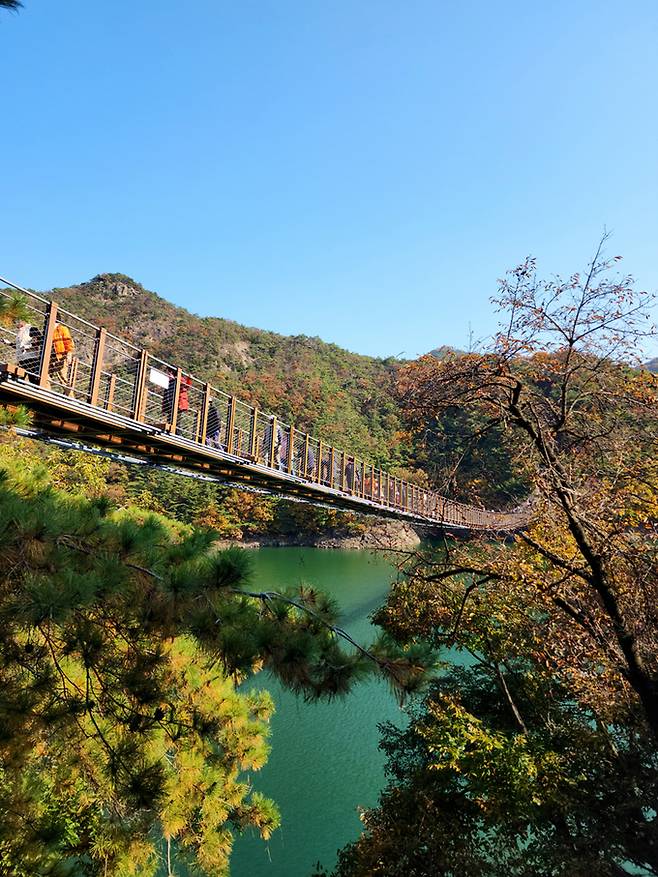 옥순봉 출렁다리