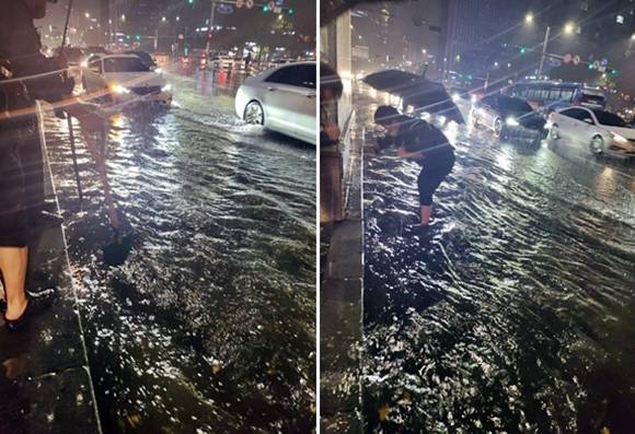 서울 마포구 공덕동로터리 침수 피해 상황. 2022.11.12 박강수 마포구청장 페이스북