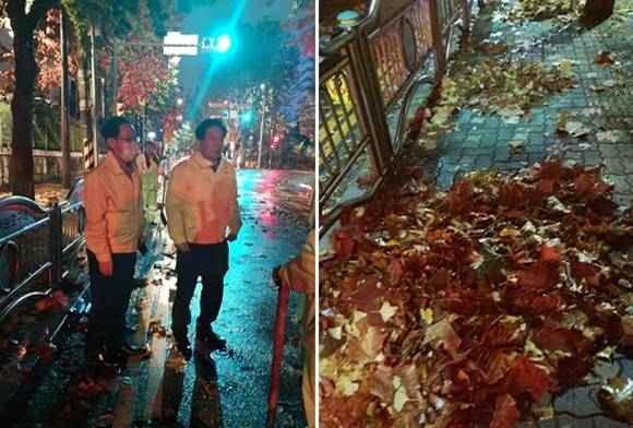 12일 서울 마포구 성산2동 신북초등학교 앞 4거리 도로 낙엽제거 작업현장을 점검 중인 박강수 마포구청장. 2022.11.12 마포구청장 페이스북