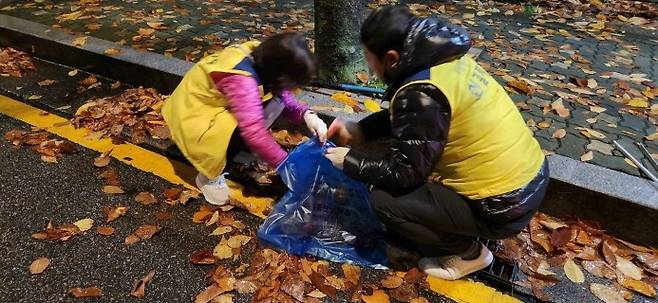 빗물받이를 뒤덮은 낙엽을 제거하는 신길7동주민센터 직원들 [영등포구 제공. 재판매 및 DB 금지]