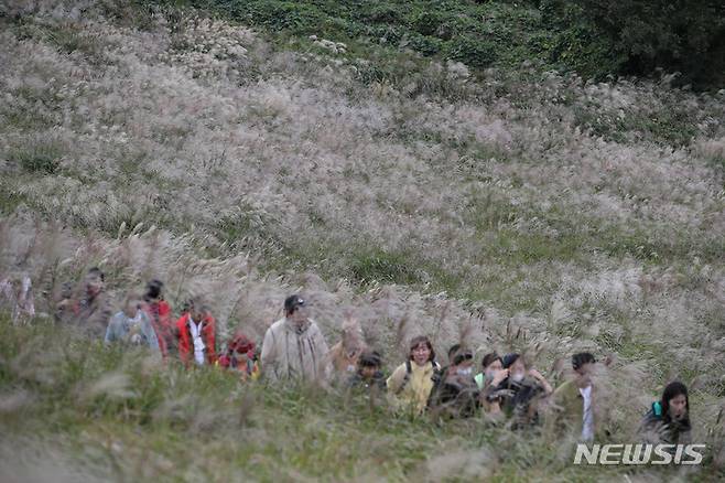 [제주=뉴시스] 우장호 기자 = 제주 곳곳에 가을비가 내리는 8일 오후 제주시 애월읍 봉성리 새별오름을 찾은 관광객들이 활짝 피어난 억새를 감상하며 깊어가는 가을을 만끽하고 있다. 2022.10.08. woo1223@newsis.com