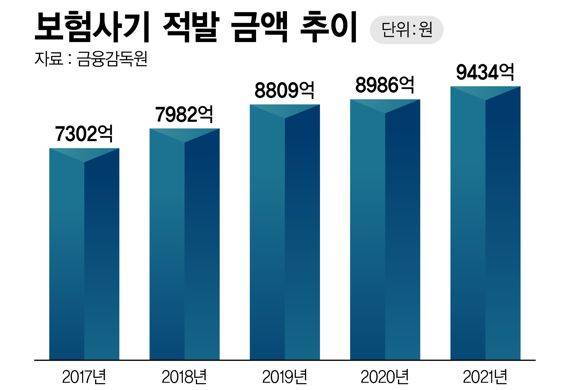 보험사기 적발 금액 추이 /그래픽=정기현 기자