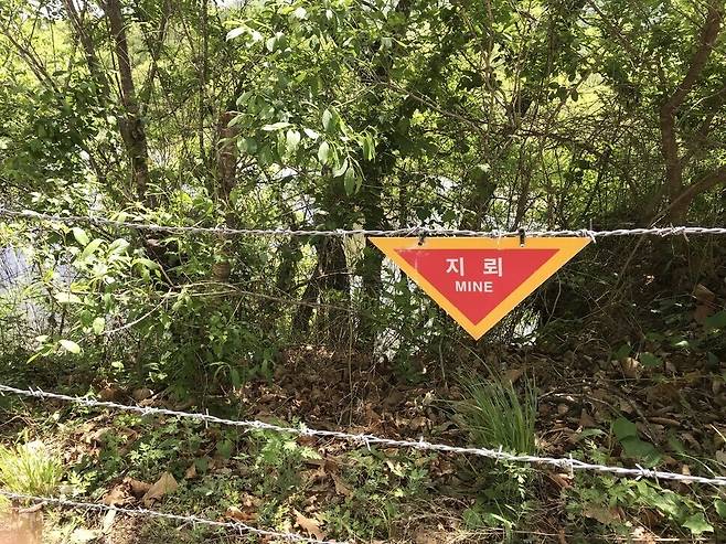 비무장지대 근처에는 지뢰 경고판이 곳곳에 있다. 권혁철 기자
