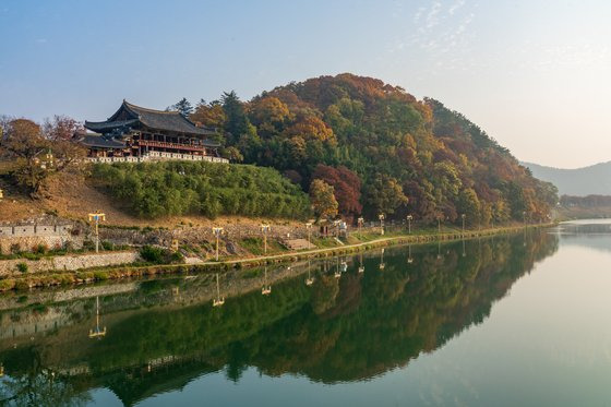 양강을 굽어보는 누각 영남루도 곳곳이 단풍으로 화려한 모습이다.