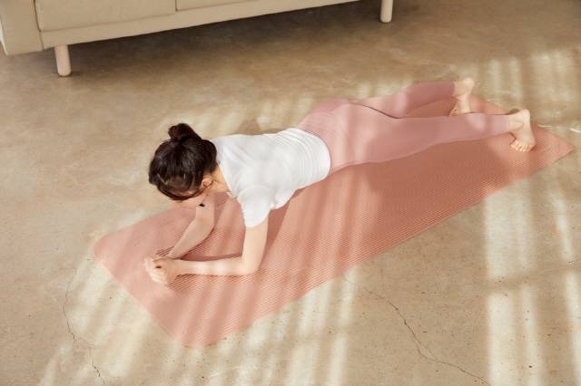 플랭크/사진=클립아트코리아