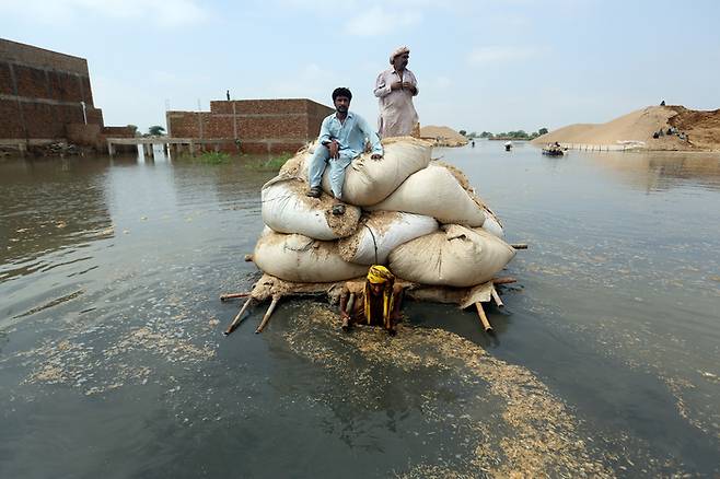 파키스탄 남서부 발루치스탄 주의 한 지역인 자파라바드에서 전례 없는 홍수의 피해자들이 지난 9월 건초를 운반하고 있다. AP 제공