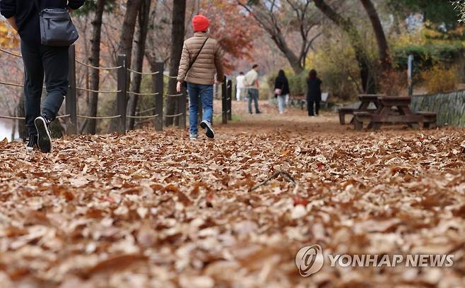 가을 [연합뉴스 자료사진]