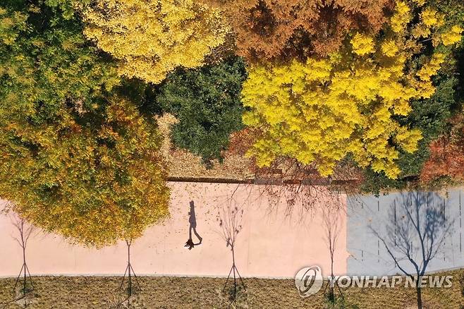 광주 북구 우산근린공원의 가을 풍경 [연합뉴스 자료사진]