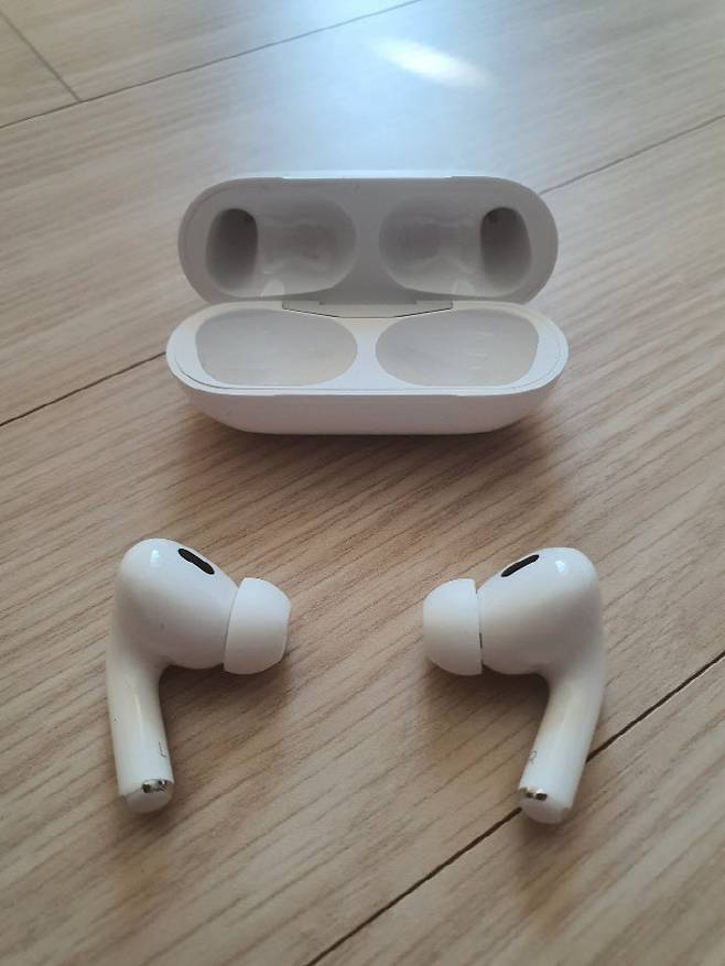 애플 ‘에어팟 프로2’. (사진=김정유 기자)