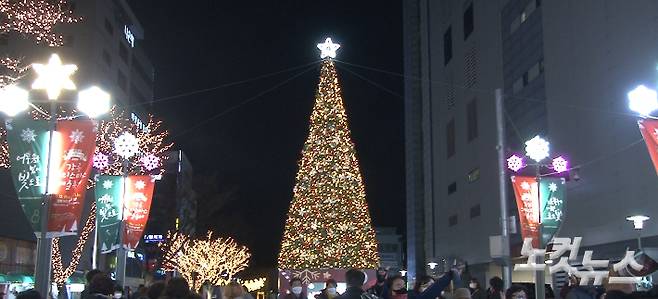 지난해 11월 28일 강릉월화거리내에 마련된 성탄트리가 환하게 불을 밝혔다. 최진성 아나운서
