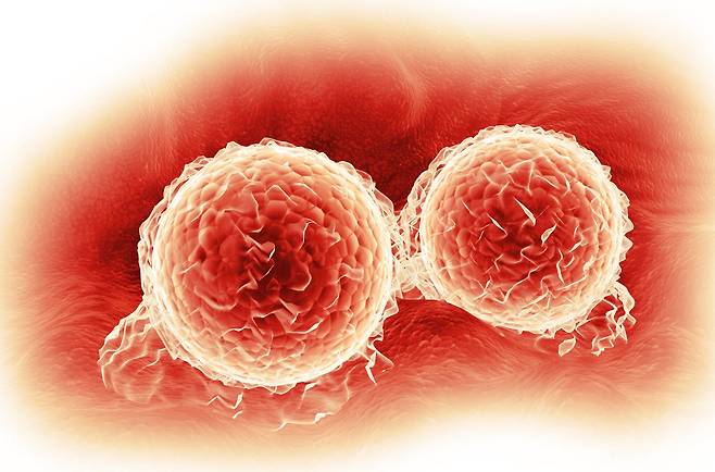 [사진 =게티이미지뱅크]