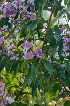 게티이미지뱅크