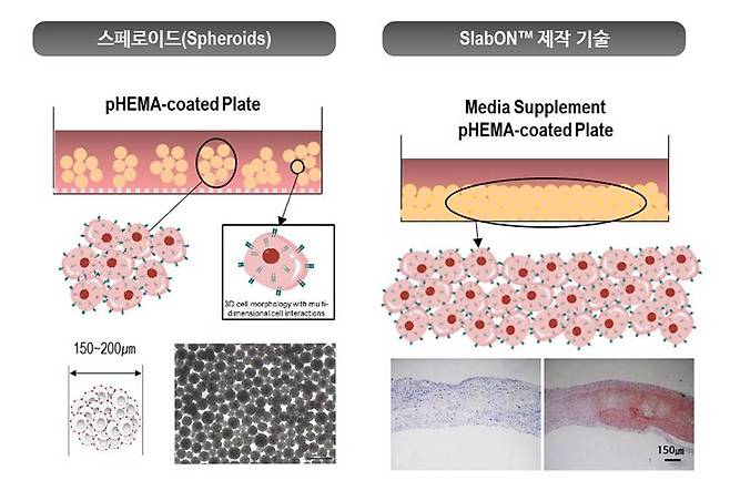 아크로셀바이오사이언스의 슬랩온 제작 기술 소개 사진. 출처 = 아크로셀바이오사이언스