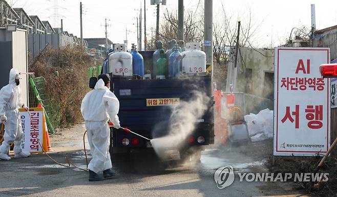 조류인플루엔자 확산을 막아라 (화성=연합뉴스) 홍기원 기자 = 조류인플루엔자(AI) 항원이 검출된 경기도 화성시의 한 육용종계 농장에서 17일 오후 관계자들이 출입하는 차량 소독을 하고 있다. 2022.11.17 xanadu@yna.co.kr