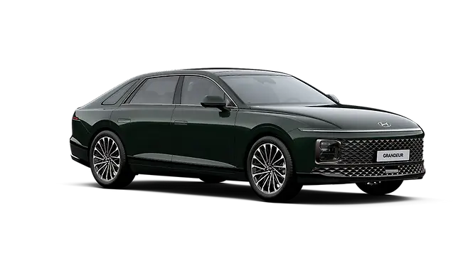 밤부 차콜 그린 펄 - 전면