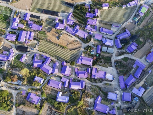 The roofs of island houses are all painted in purple (Shinan County)