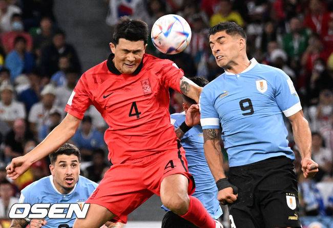 [OSEN=도하(카타르), 박준형 기자] &nbsp;24일(현지시간)  카타르 도하 에듀케이션 시티 스타디움에서 2022 국제축구연맹(FIFA) 카타르 월드컵 조별리그 H조 대한민국과 우루과이의 경기가 진행됐다.후반 한국 김민재가 슛을 시도하고 있다. 2022.11.24 /soul1014@osen.co.kr