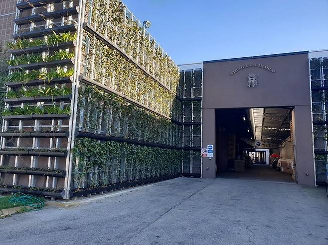 미켈레 끼아를로 와이너리 전경