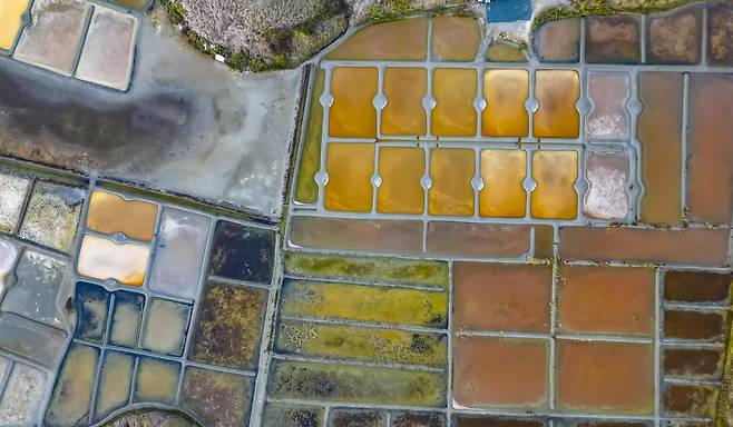 다양한 색상의 게랑드 염전   [사진/성연재 기자]