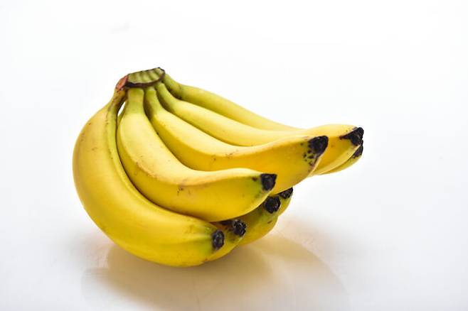 바나나는 열대 과일이라서 차가운 온도를 견뎌낼 자연 방어능력이 없다. [사진= 게티이미지뱅크]