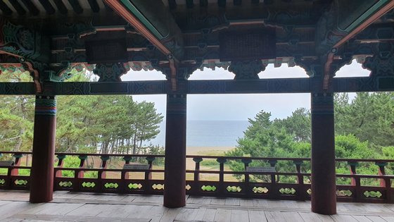 월송정에서 내려다본 동해 모습. [사진 김정탁, 한국학중앙연구원]