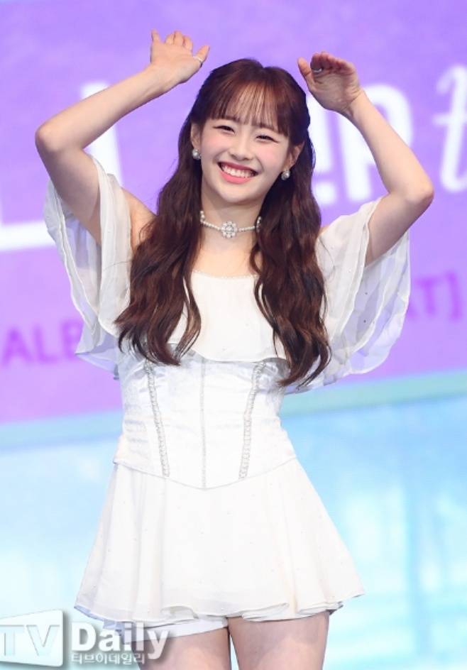 티브이데일리 포토