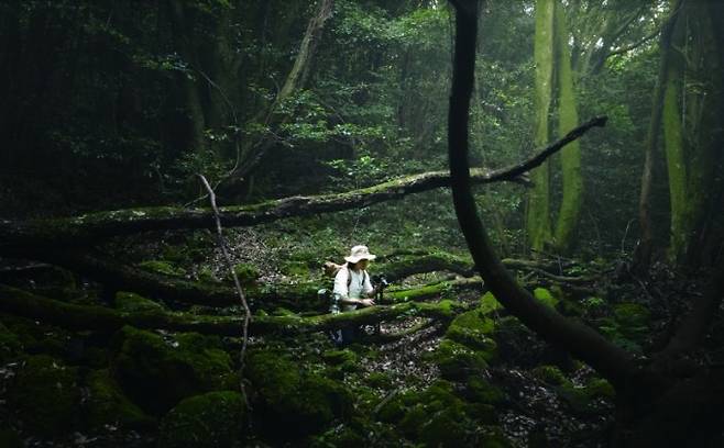 버섯탐색중인 박상영작가.&nbsp;박상영작가 제공
